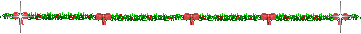654923wz2g1xpxbq.gif