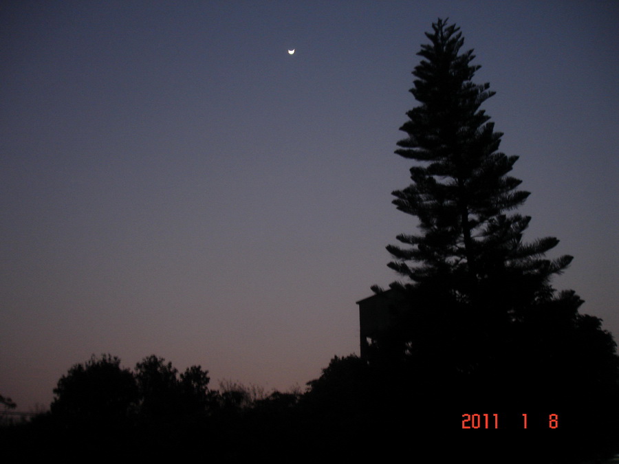 DSC04001.jpg