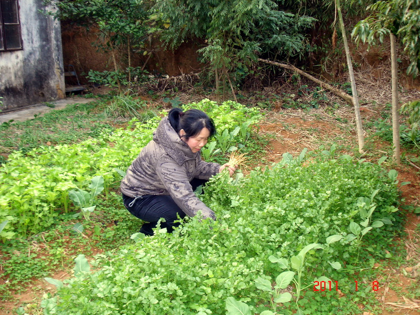 DSC03987.jpg