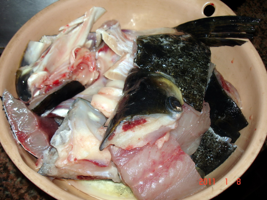 DSC04006.jpg