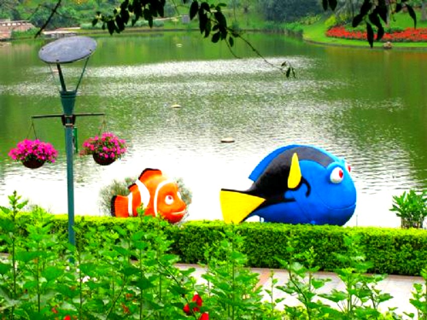 500_2010062511410660560_conew1.jpg