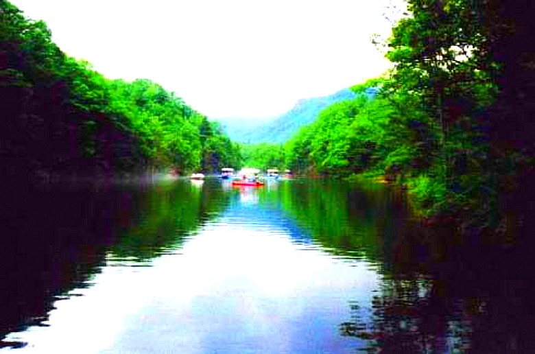 500_2005111815541998134_conew1.jpg