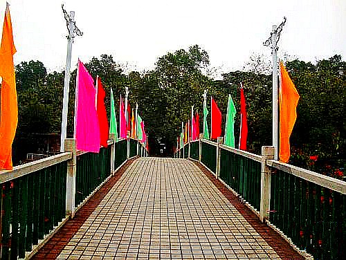 500_2010020917143963905_conew1.jpg