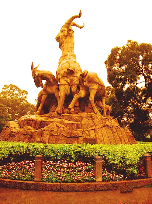 500_2010020917114219729_conew1.jpg