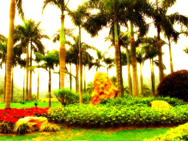 500_2010062511410674025_conew1.jpg