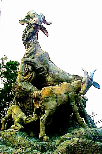 500_2005112113533860715_conew1.jpg