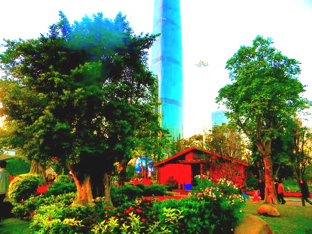 819373657206733445_conew1.jpg