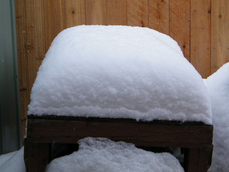 DSCF5942.JPG