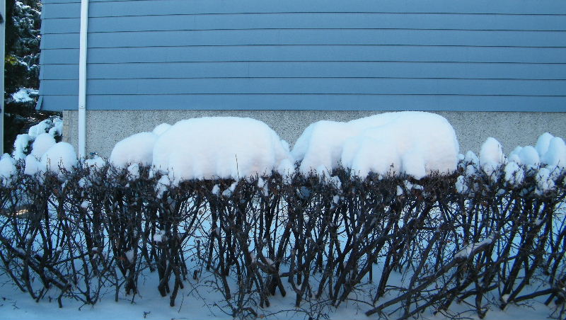 DSCF5912.JPG