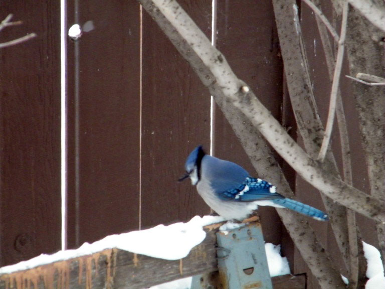 DSCF5701=.jpg