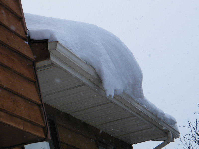 DSCF5938.JPG