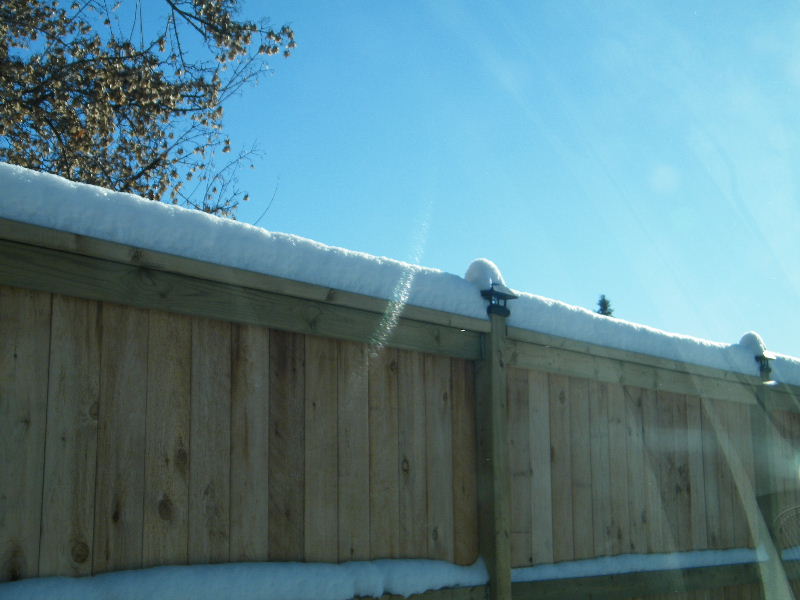 DSCF5918.JPG
