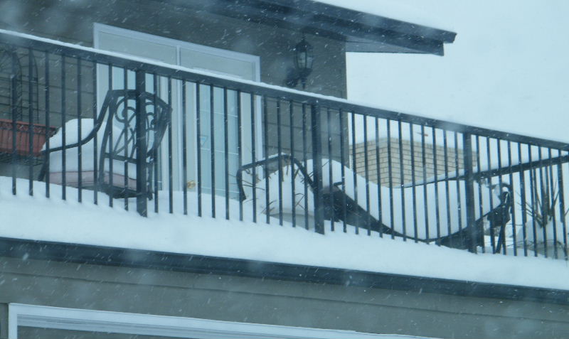 DSCF5930.JPG