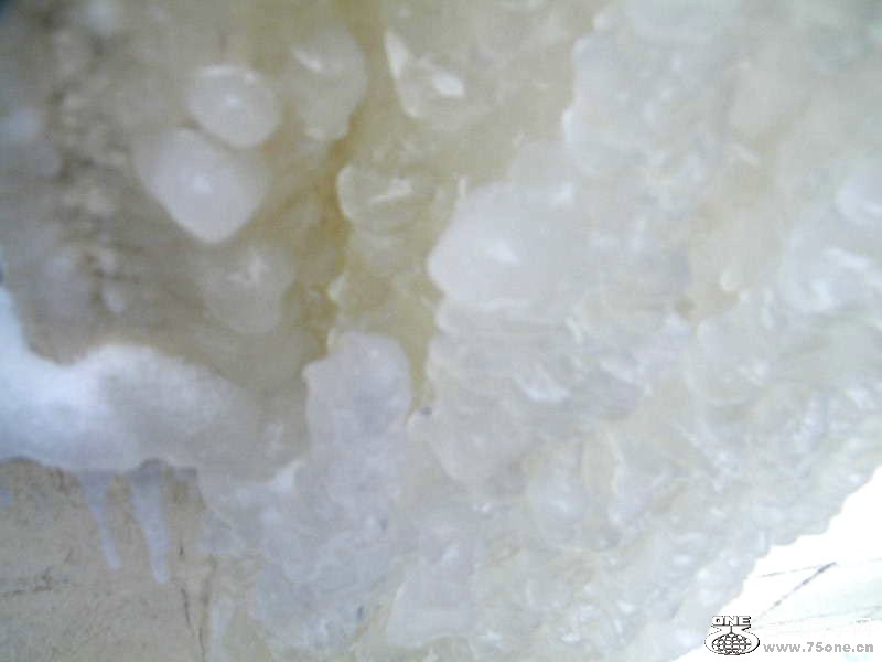 DSCF5860.JPG