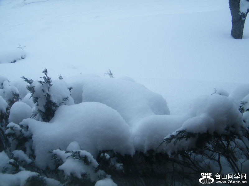 DSCF5949.JPG