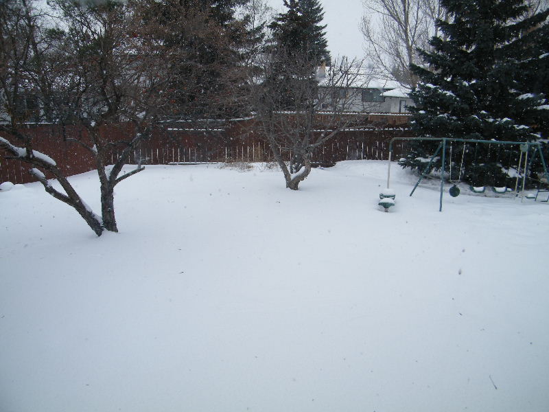 DSCF5769.JPG