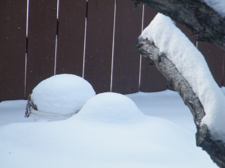 DSCF5577=.jpg