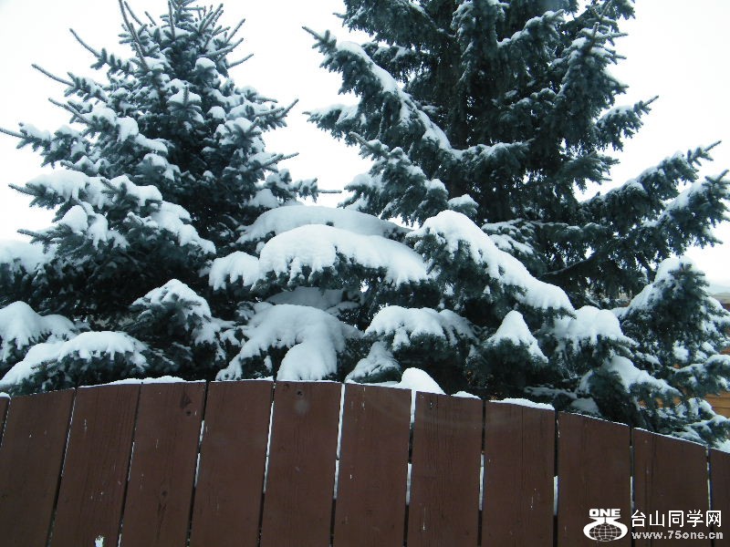DSCF5945.JPG