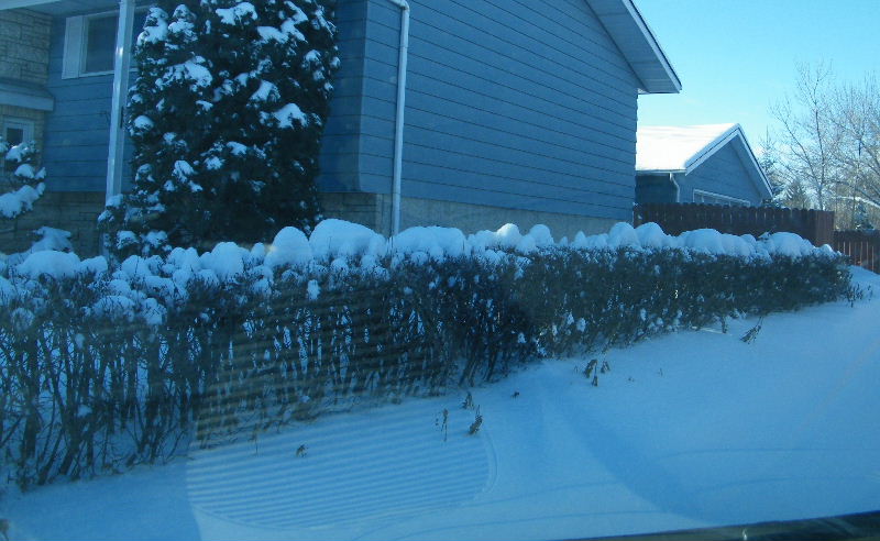 DSCF5910.JPG