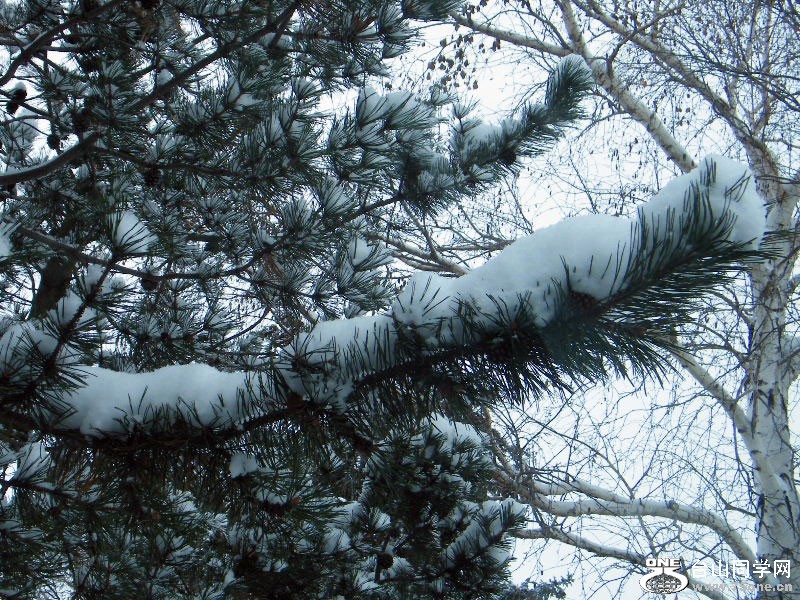 DSCF5944.JPG