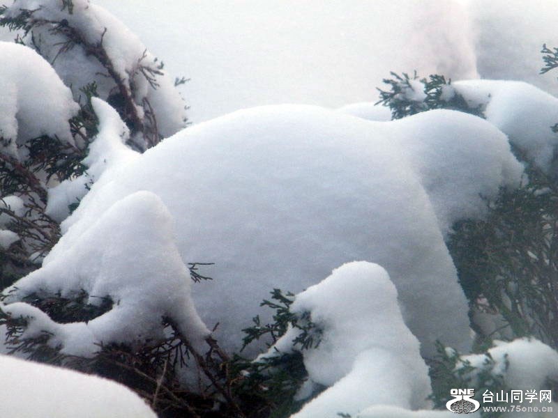 DSCF5800.JPG