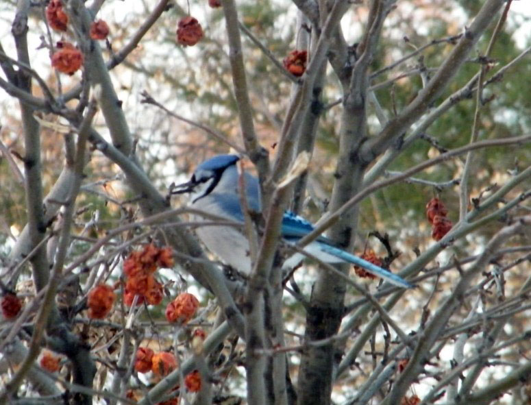 DSCF5714=.jpg