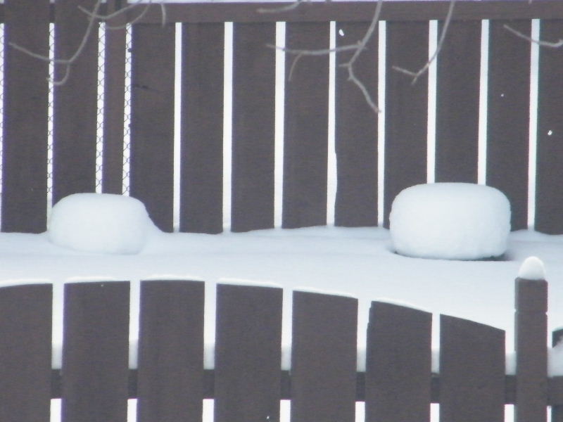 DSCF5904.JPG