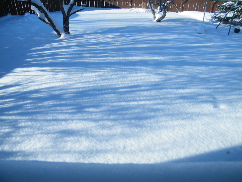 DSCF5907.JPG