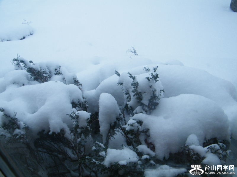 DSCF5950.JPG