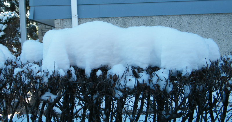 DSCF5920.JPG