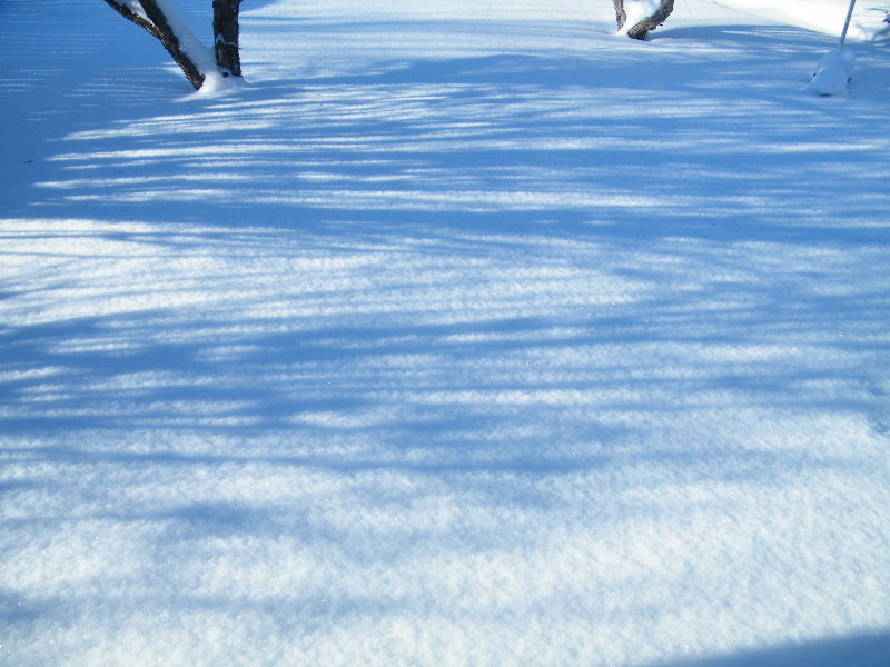 DSCF5908.JPG