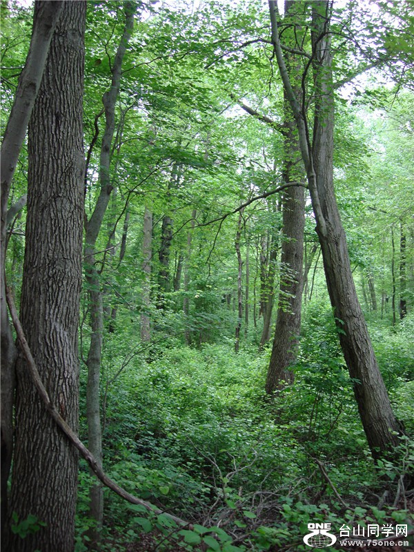 Picture 027_.jpg