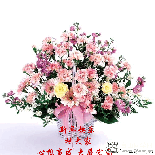 1.gif