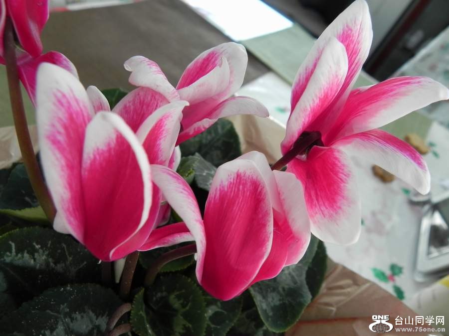 2010 092.jpg