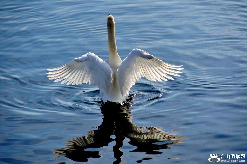 DSC_4187.jpg