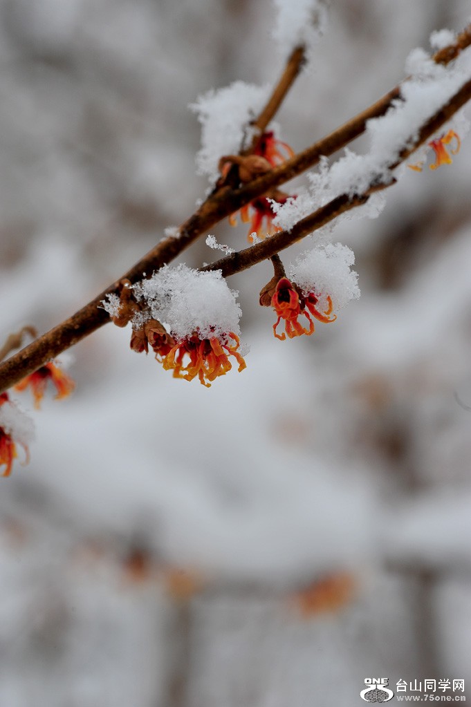 DSC_5469.jpg