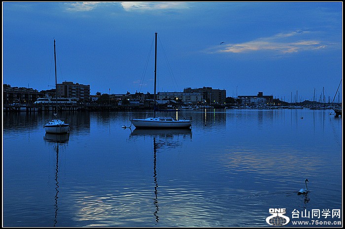 DSC_5949.JPG