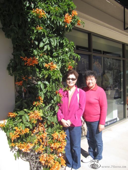 2011-----SF 646.jpg