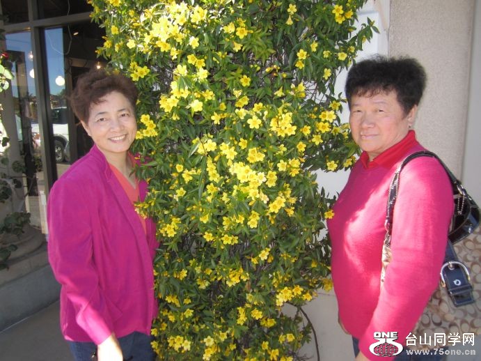 2011-----SF 648.jpg