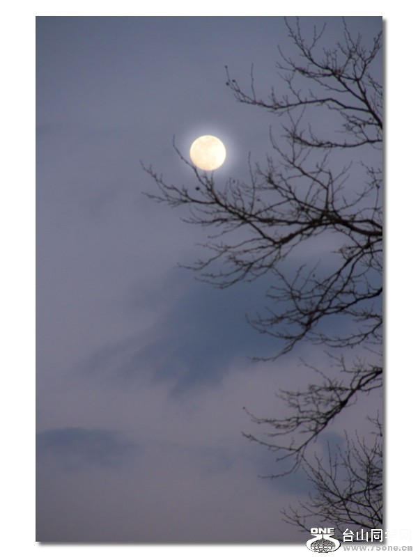 IMG_8914a.jpg