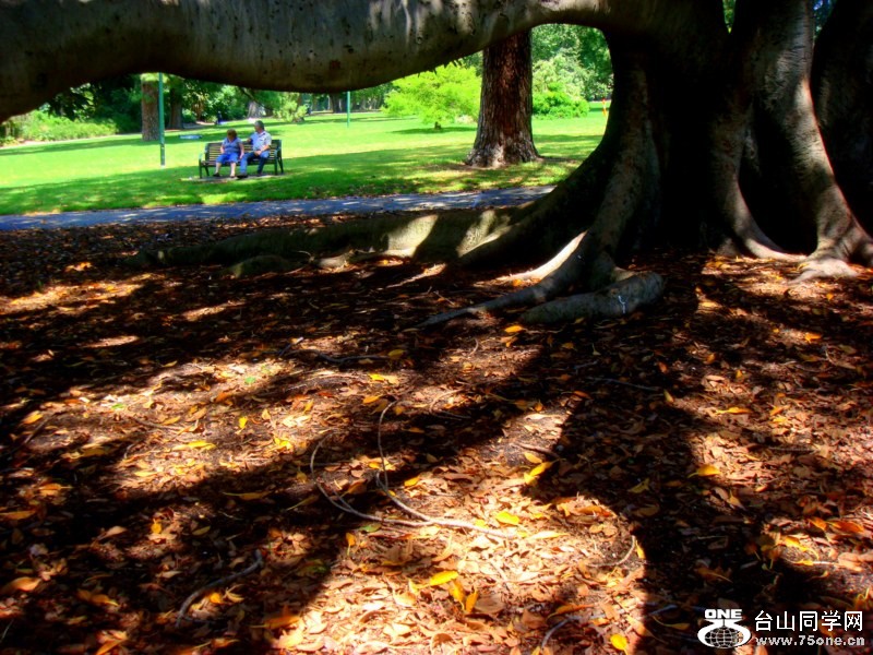 DSC06691 [800x600].jpg