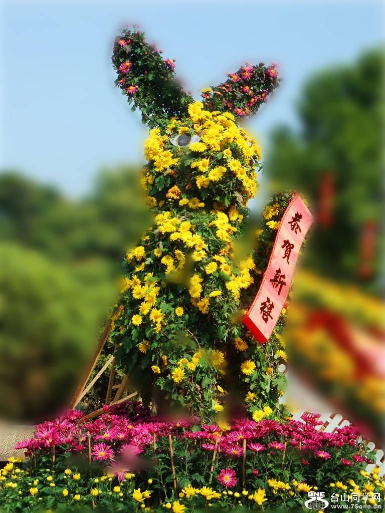 DSCF1905_.jpg