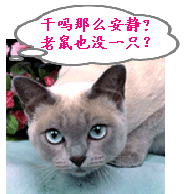 403.gif