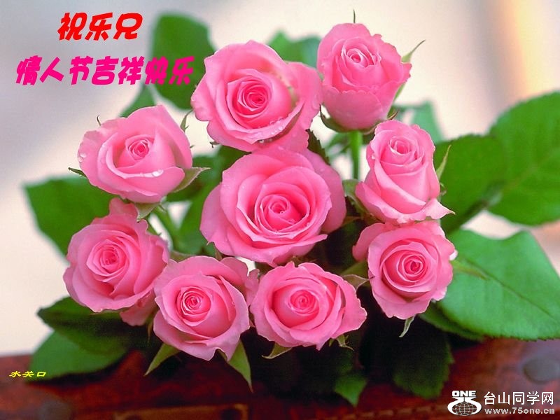 20100219220022514-239867_conew1.jpg