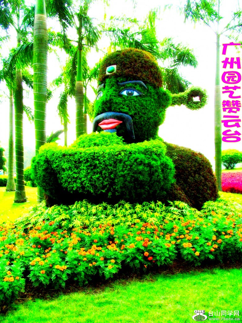 853995079340981713_conew2.jpg