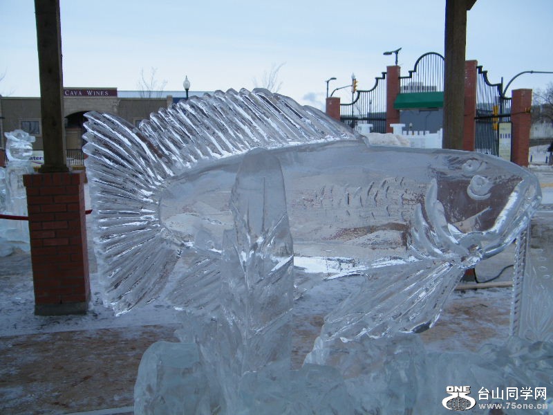 DSCF6211.JPG
