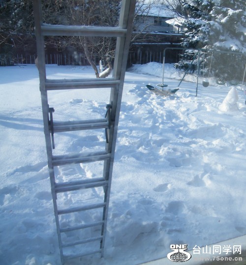 DSCF2735.JPG