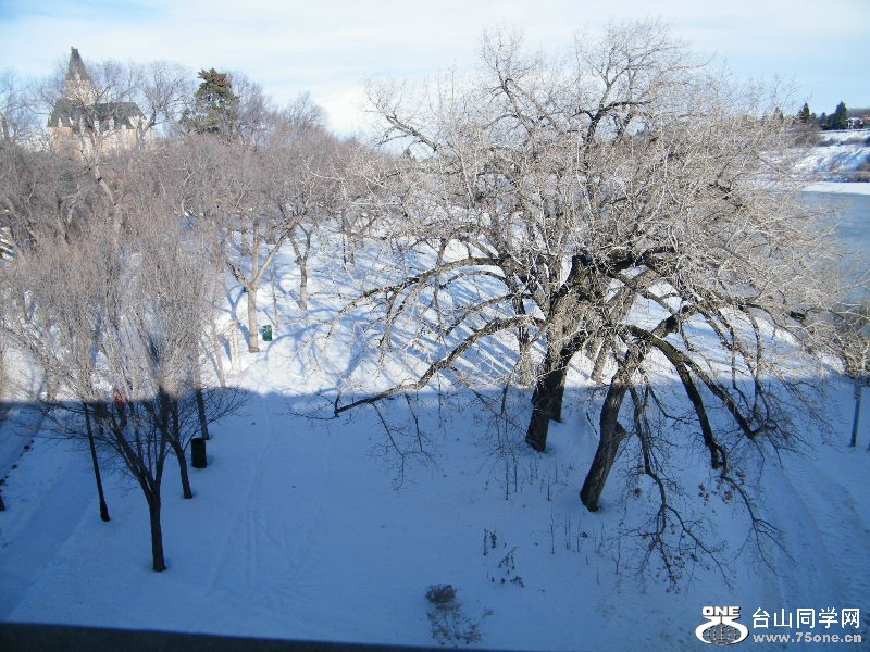 DSCF6046.JPG