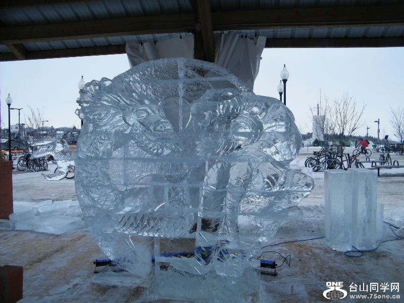 DSCF6195.JPG