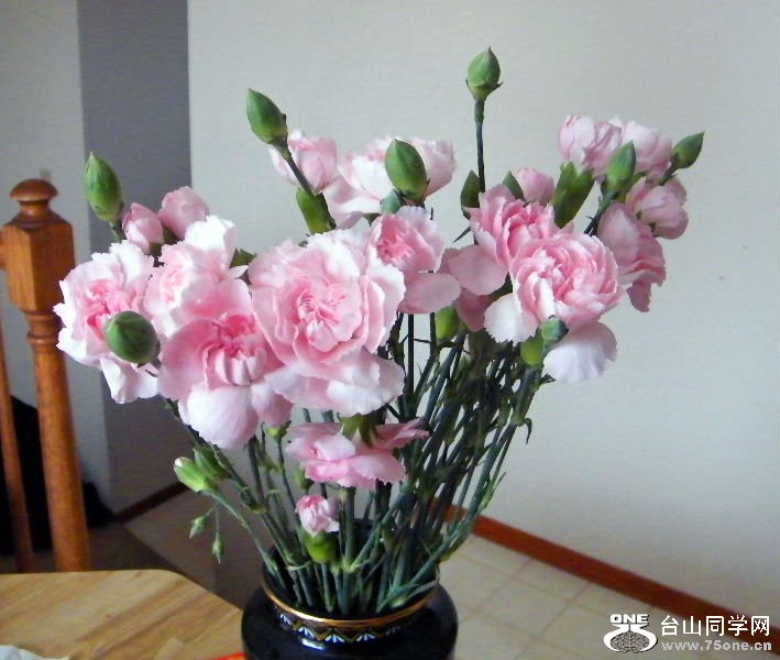 DSCF6369.JPG